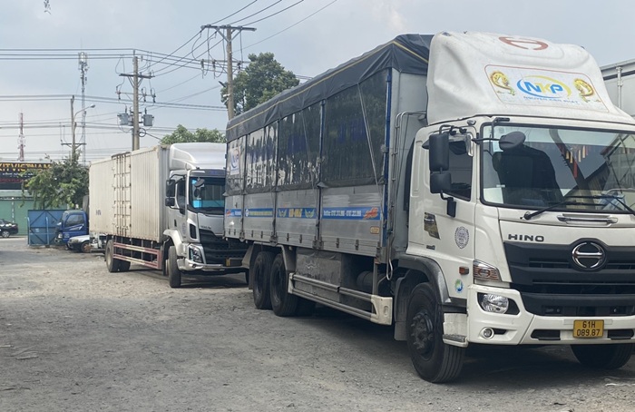 Với hàng số lượng nhỏ, khách có thể gửi theo hình thức hàng ghép để tiết kiệm chi phí.